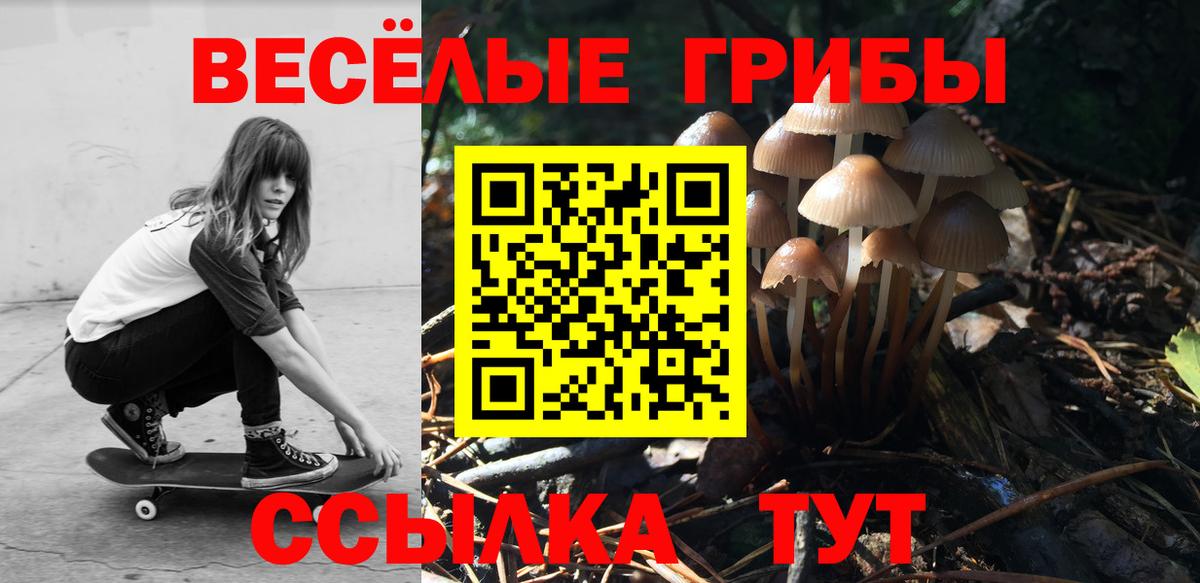 Галлюциногенные грибы Cubensis Томск